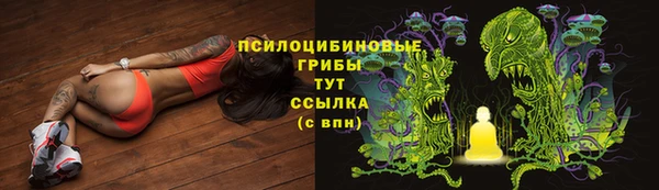 герыч Верхний Тагил