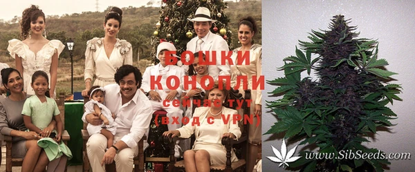 круглые Бородино