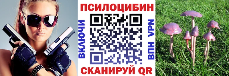 Галлюциногенные грибы мицелий  Купить  Тогучин 